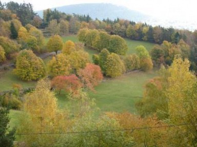 Gîte de la Chèvrerie du Bambois - Alsace, Haut Rhin à Lapoutroie